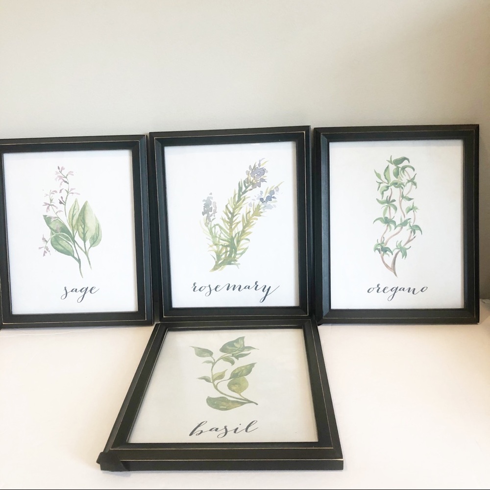Set of 4 8x10 Herb Prints